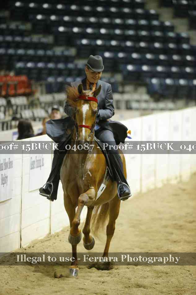 Proof 15BUCK_04087