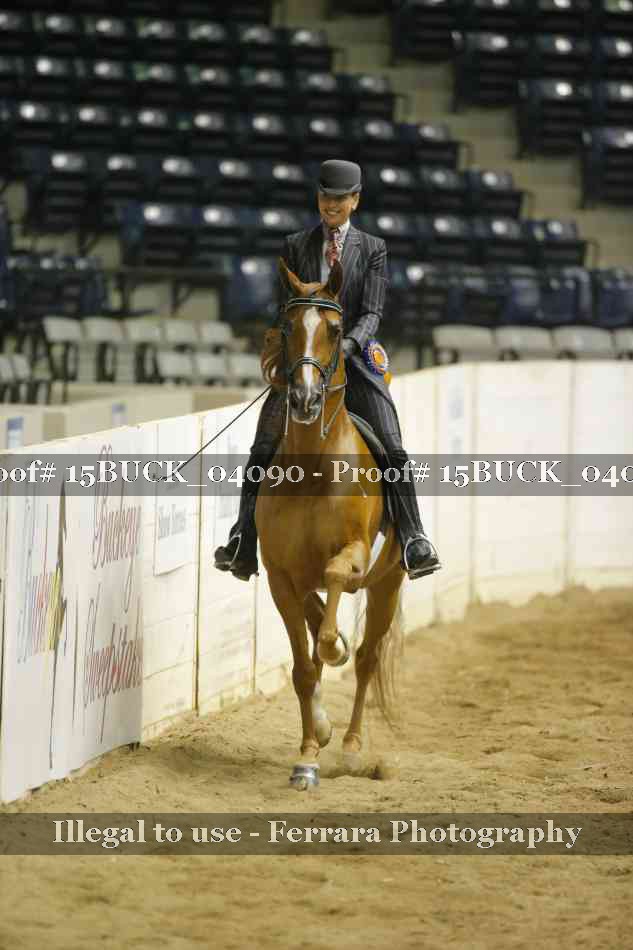 Proof 15BUCK_04090