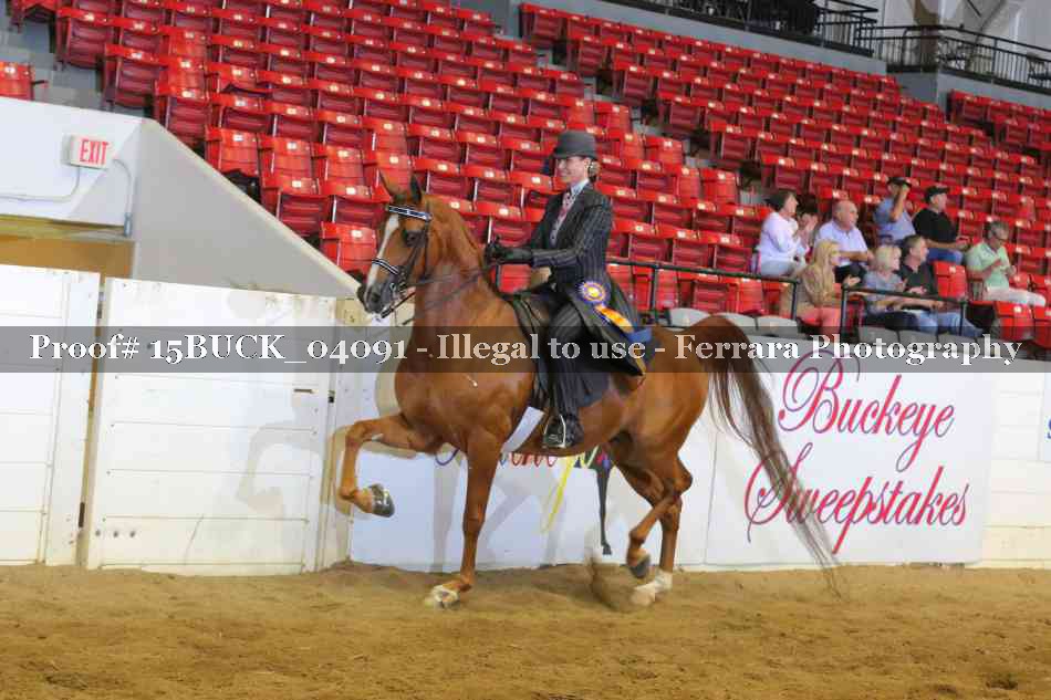 Proof 15BUCK_04091
