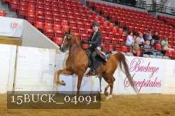 15BUCK_04091 proof