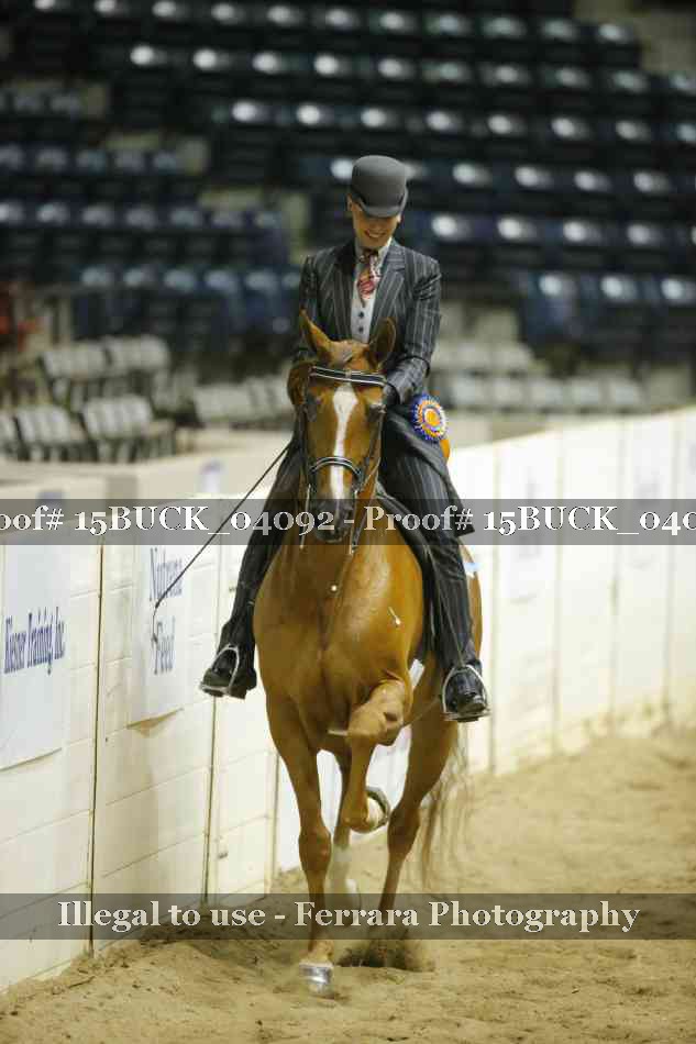 Proof 15BUCK_04092