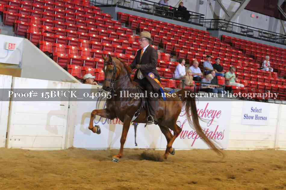 Proof 15BUCK_04095