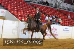 15BUCK_04095 proof