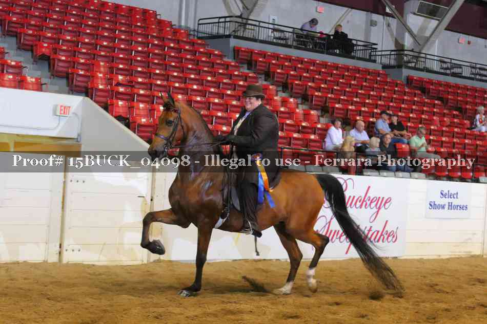 Proof 15BUCK_04098