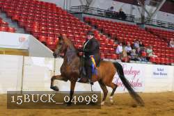 15BUCK_04098 proof