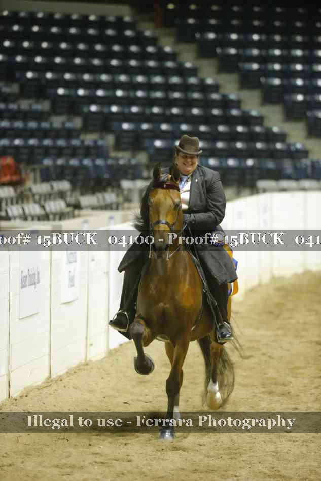 Proof 15BUCK_04100