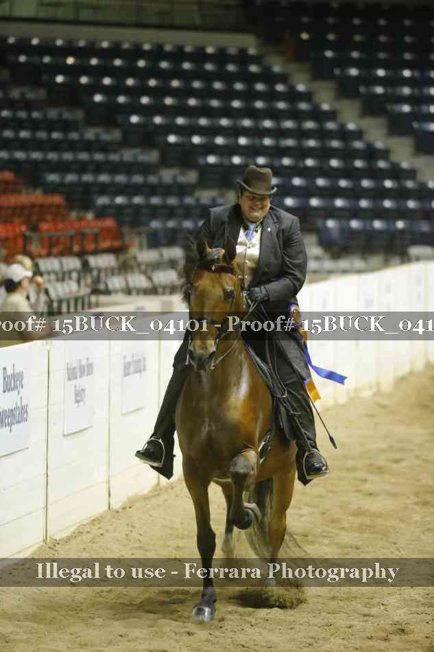 Proof 15BUCK_04101