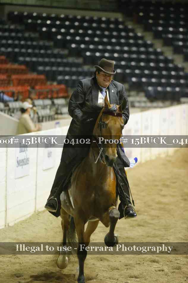 Proof 15BUCK_04102