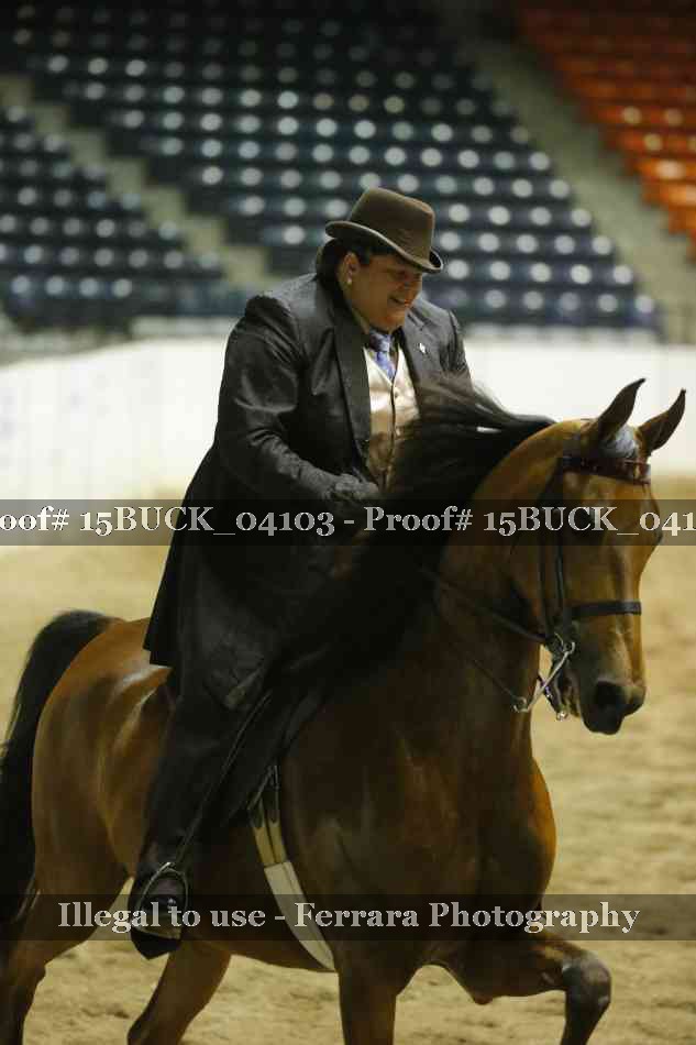Proof 15BUCK_04103