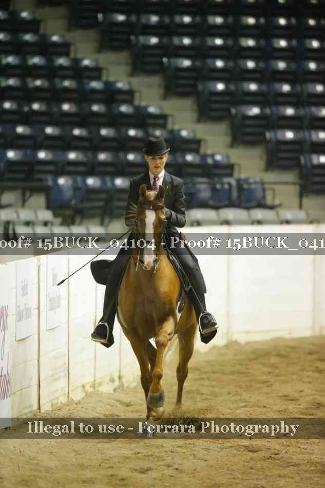 Proof 15BUCK_04104