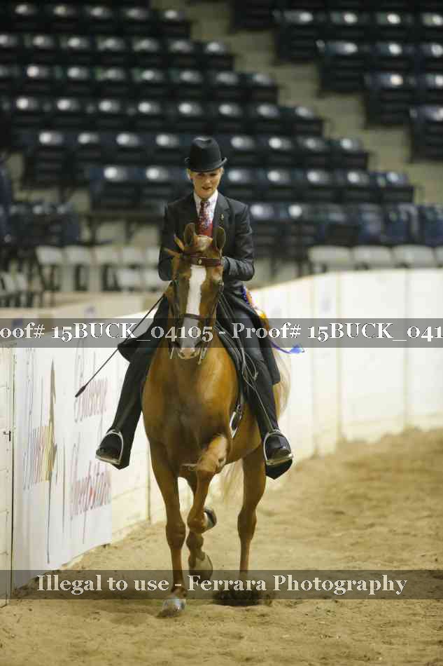 Proof 15BUCK_04105
