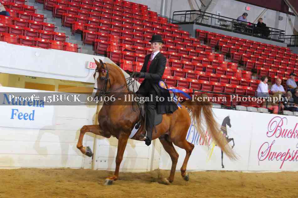 Proof 15BUCK_04106