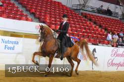 15BUCK_04106 proof