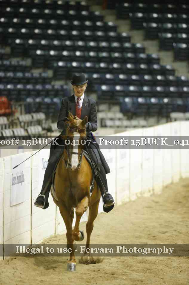 Proof 15BUCK_04107
