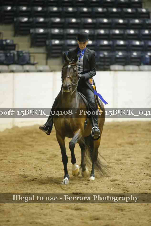 Proof 15BUCK_04108