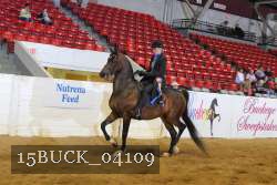 15BUCK_04109 proof
