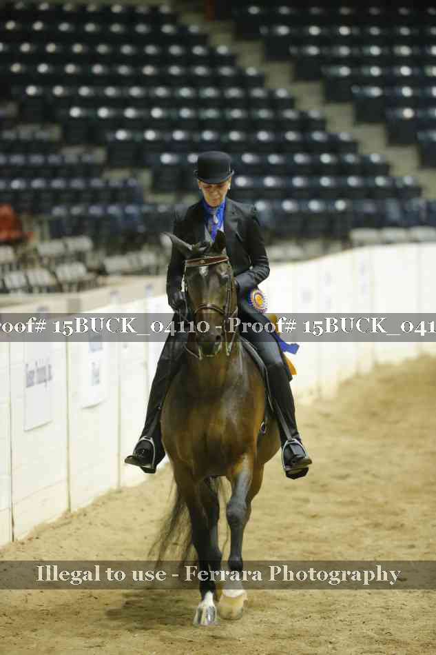 Proof 15BUCK_04110
