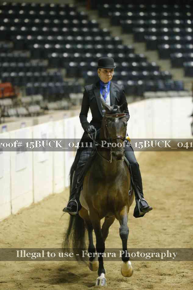 Proof 15BUCK_04111