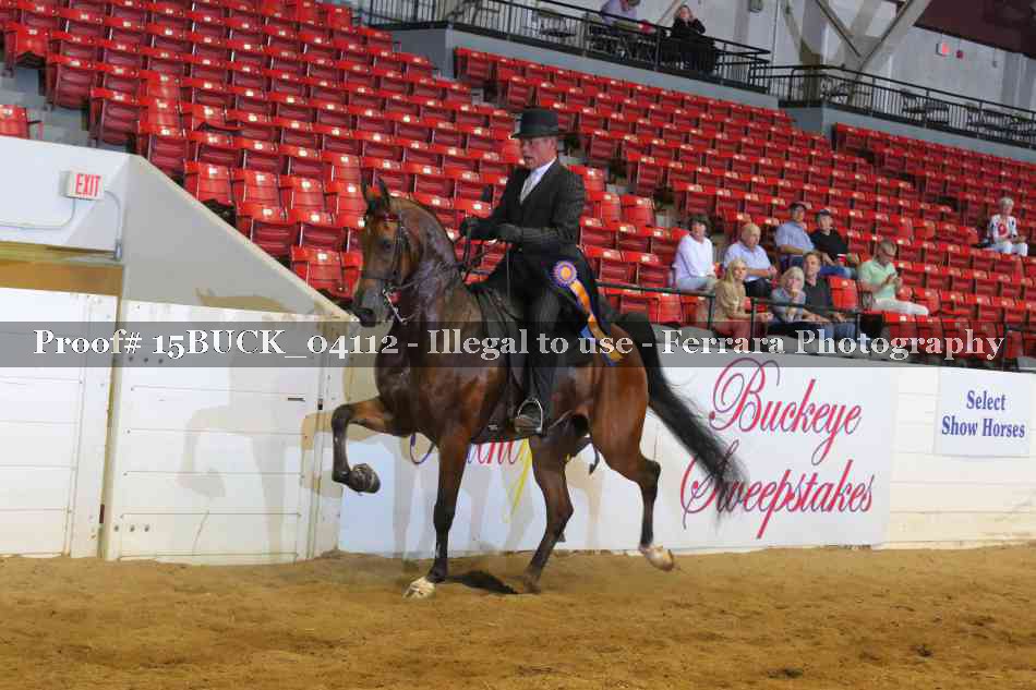 Proof 15BUCK_04112