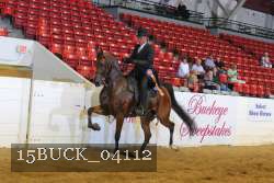 15BUCK_04112 proof