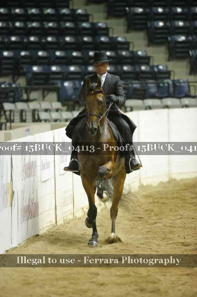 Proof 15BUCK_04113