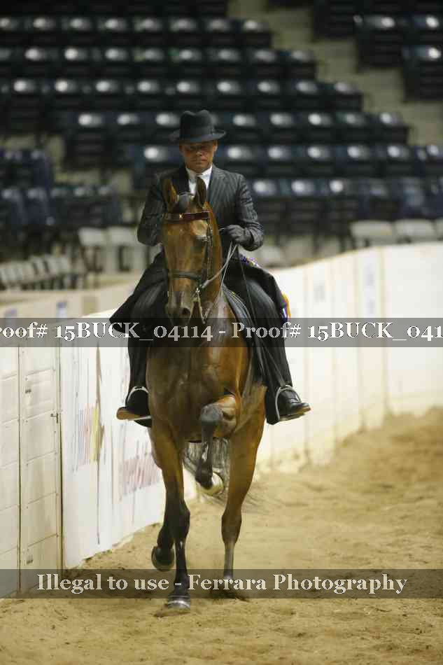 Proof 15BUCK_04114
