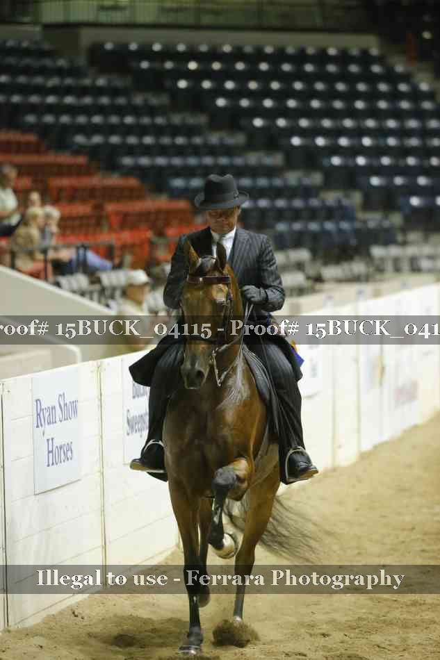 Proof 15BUCK_04115