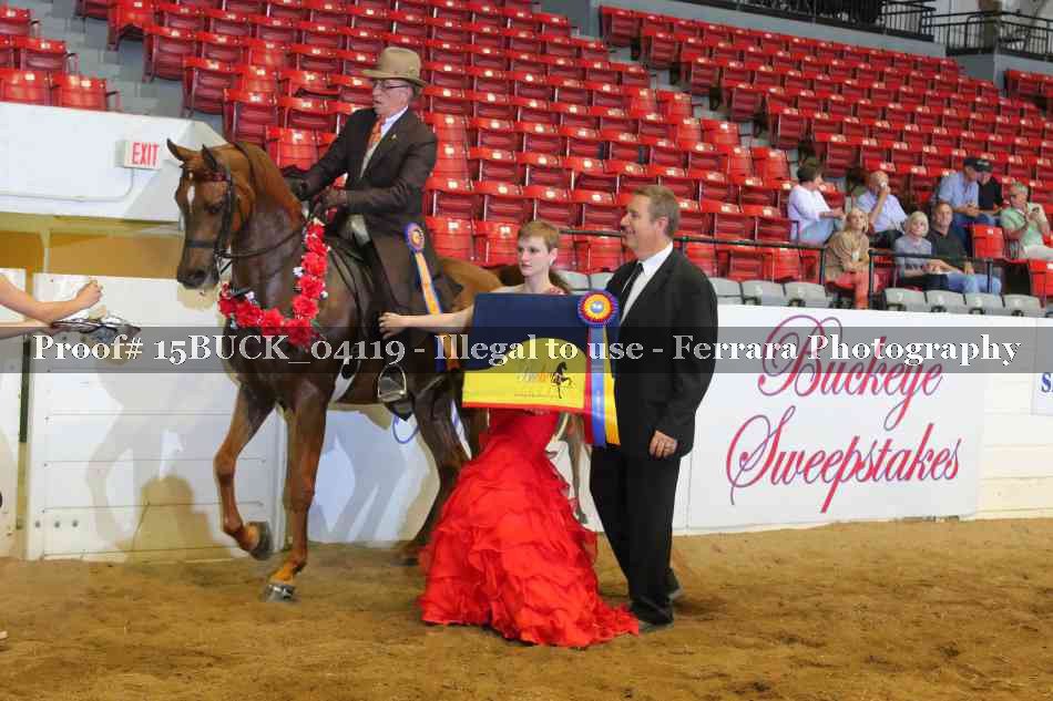 Proof 15BUCK_04119