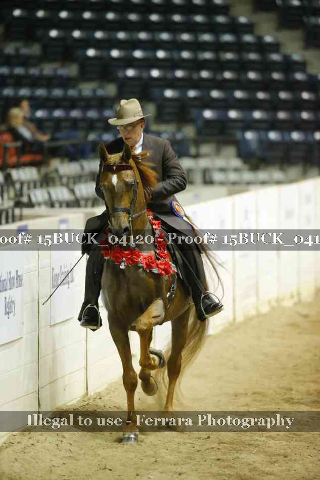 Proof 15BUCK_04120