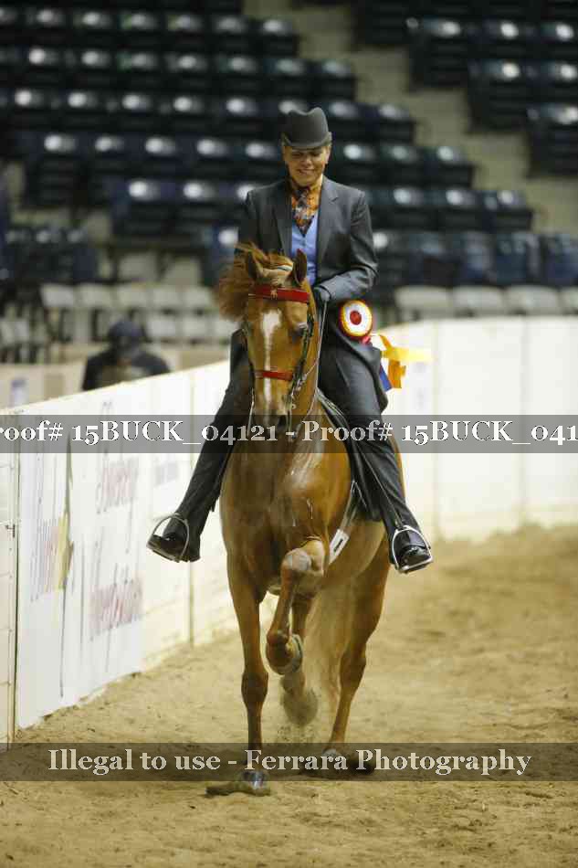 Proof 15BUCK_04121