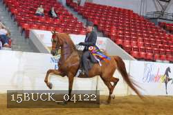15BUCK_04122 proof