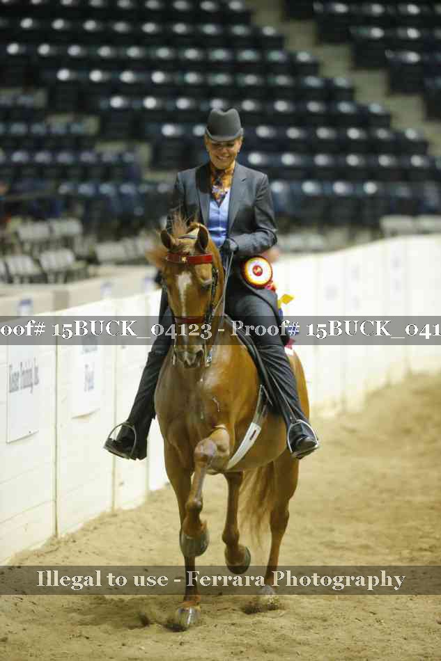 Proof 15BUCK_04123