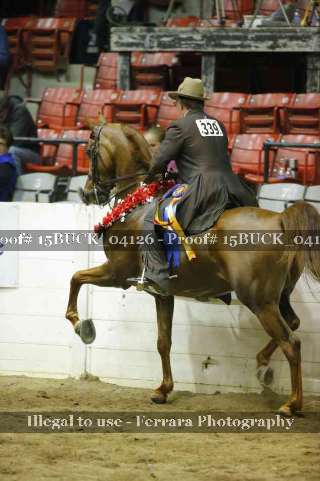 Proof 15BUCK_04126