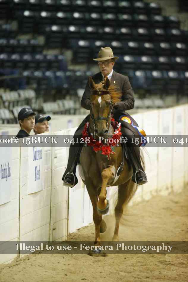 Proof 15BUCK_04128