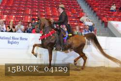 15BUCK_04129 proof