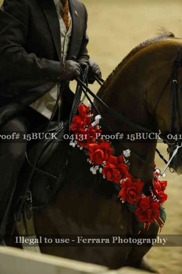 Proof 15BUCK_04131