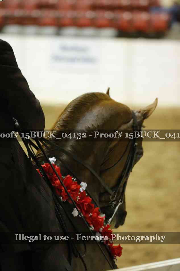 Proof 15BUCK_04132