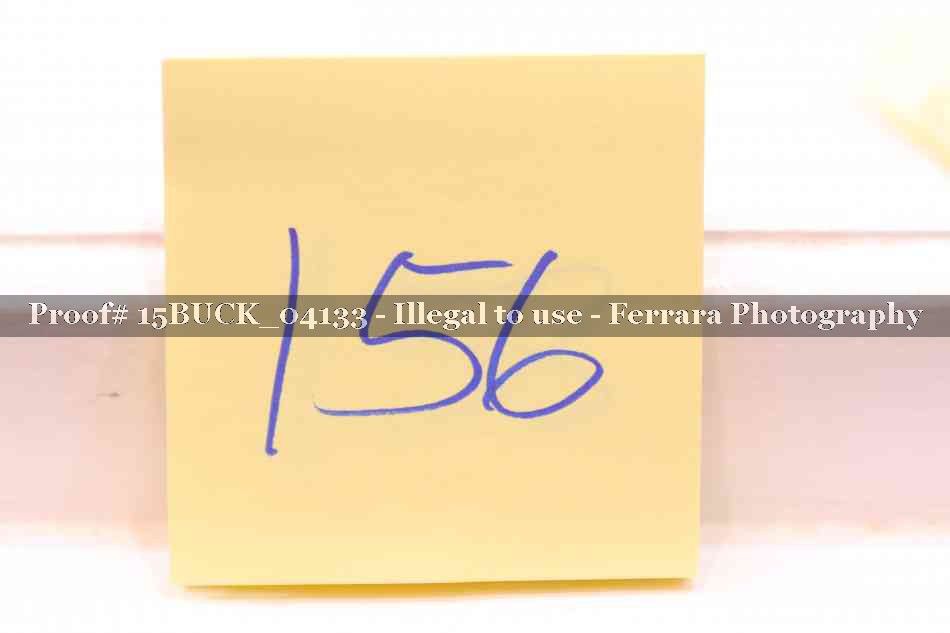 Proof 15BUCK_04133