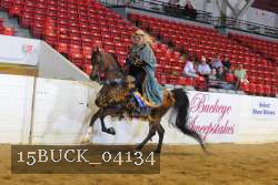 15BUCK_04134 proof