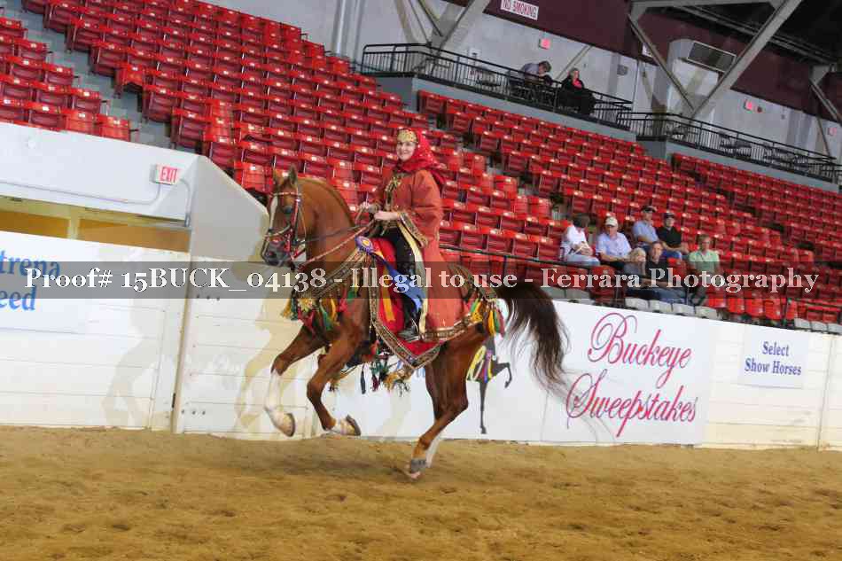 Proof 15BUCK_04138