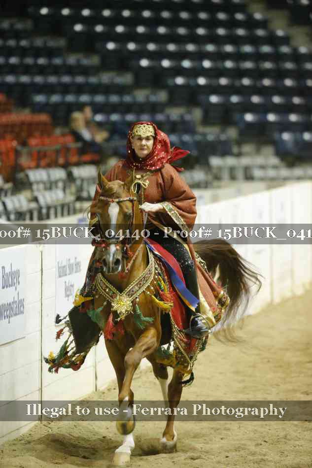 Proof 15BUCK_04140