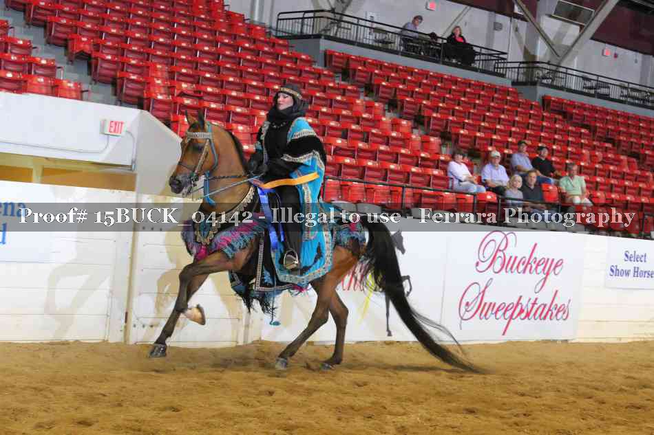 Proof 15BUCK_04142