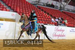 15BUCK_04142 proof