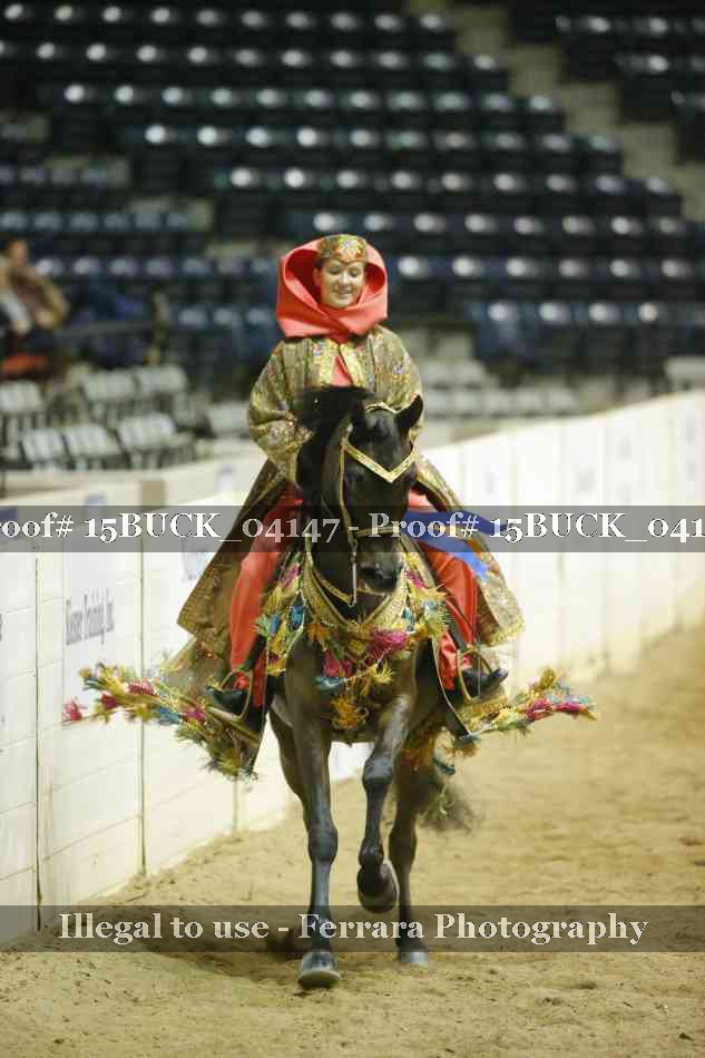 Proof 15BUCK_04147