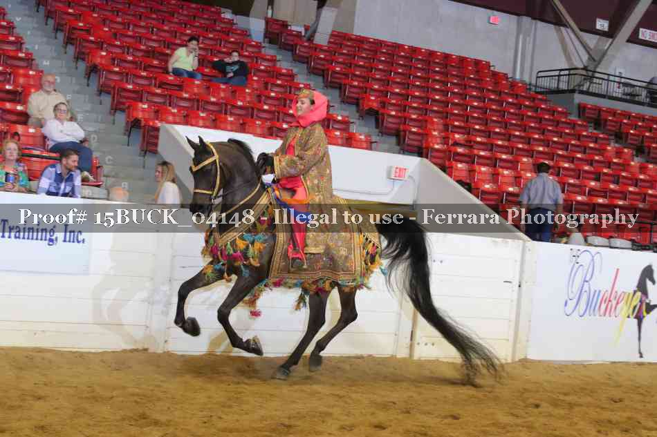 Proof 15BUCK_04148