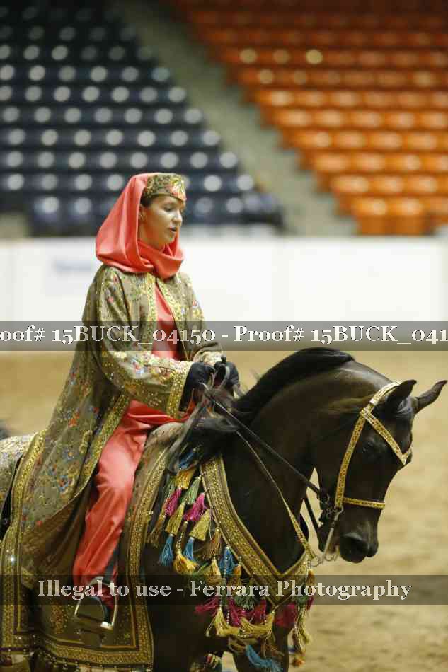 Proof 15BUCK_04150