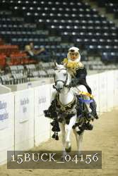 15BUCK_04156 proof
