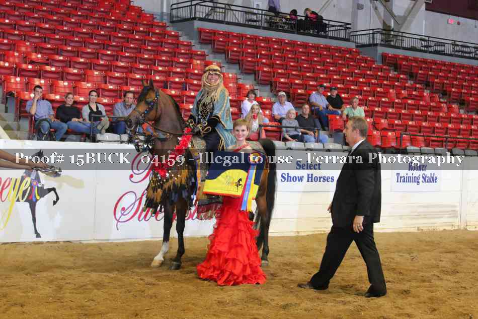 Proof 15BUCK_04159