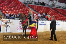 15BUCK_04160 proof