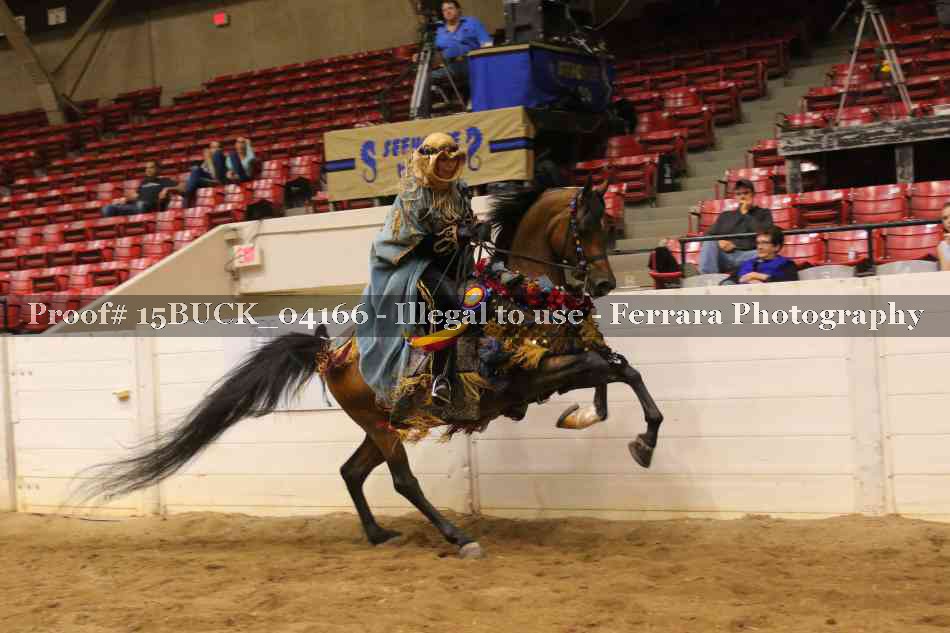Proof 15BUCK_04166